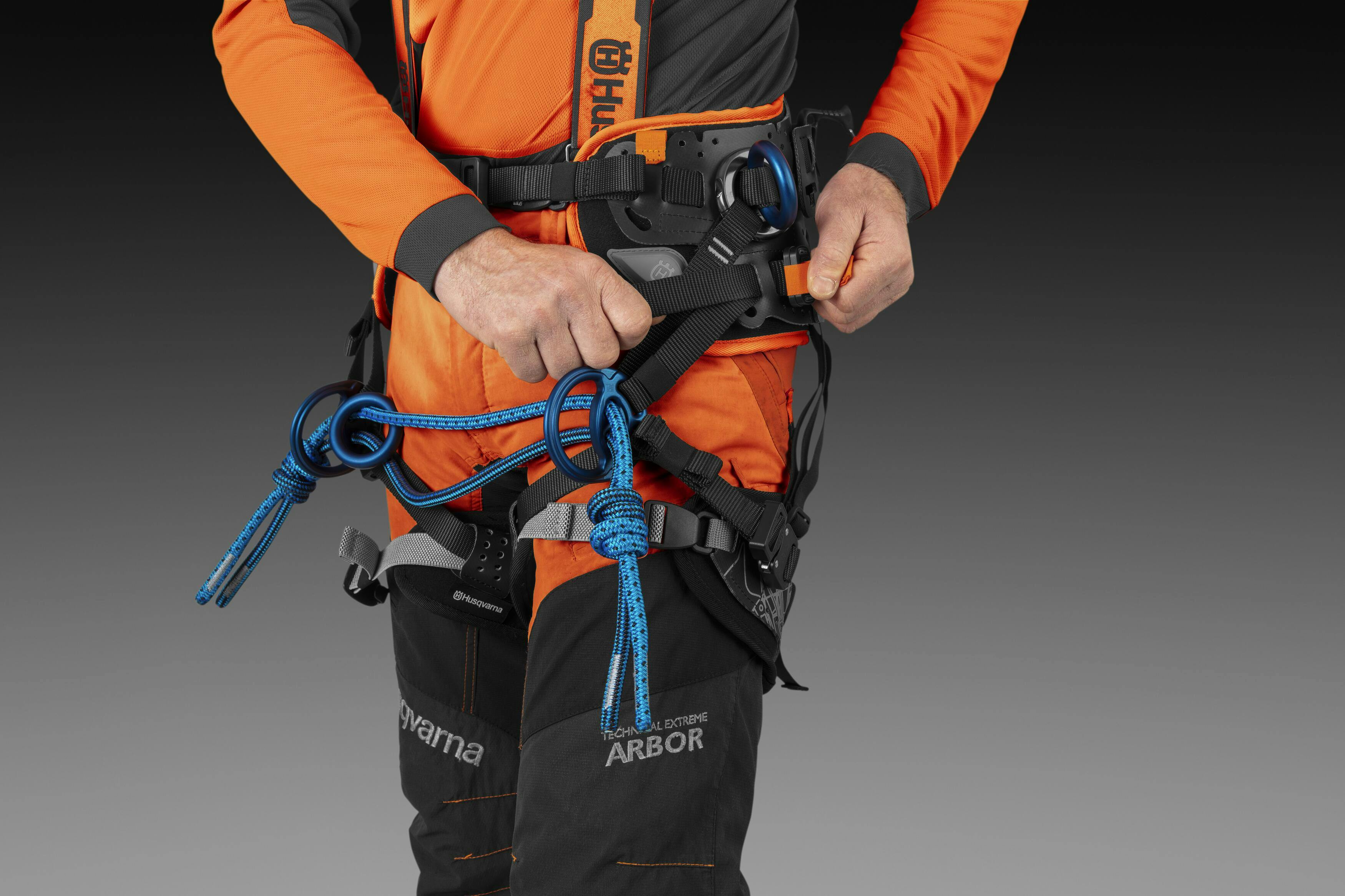 Climbing Harness image 3