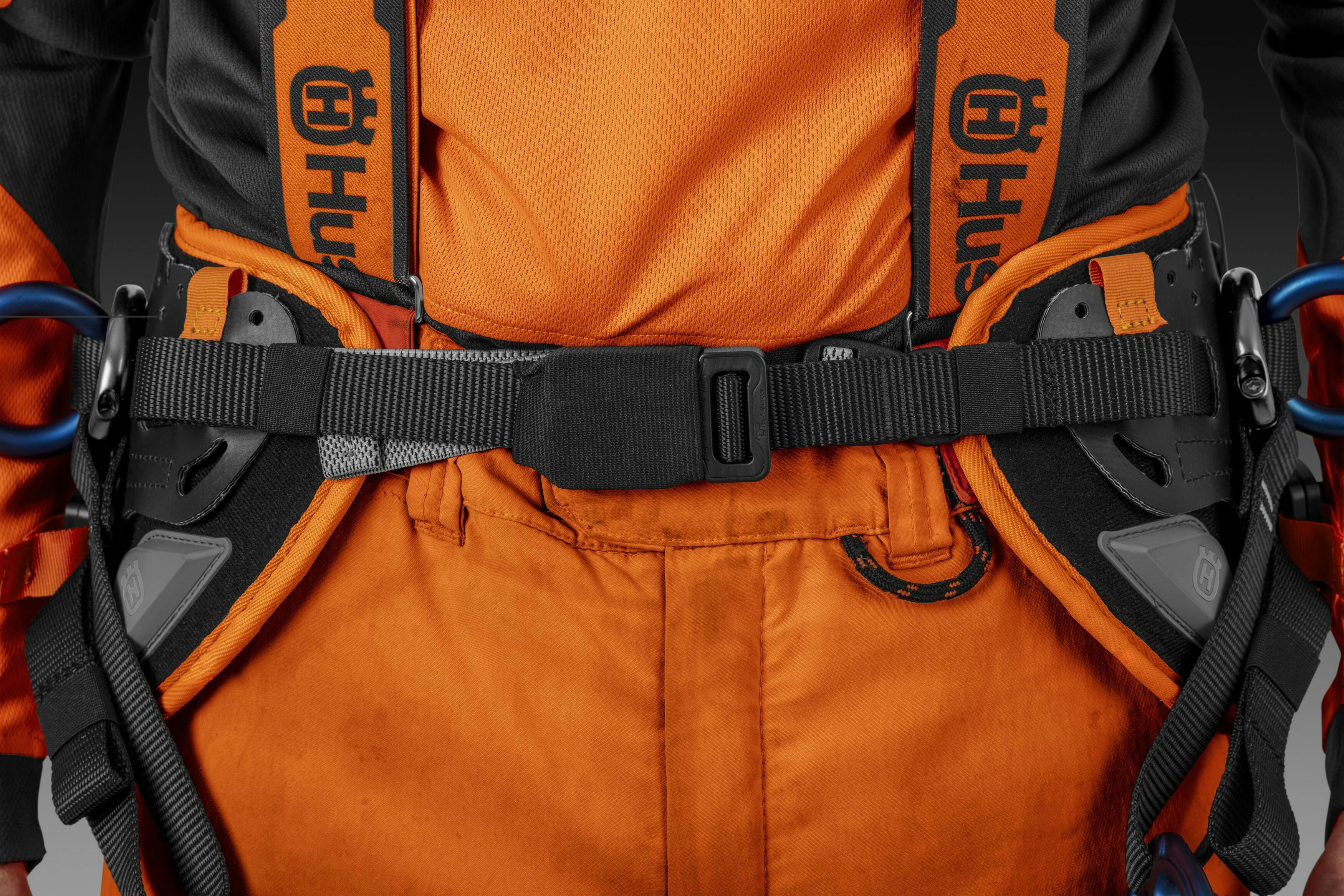 Climbing Harness image 2