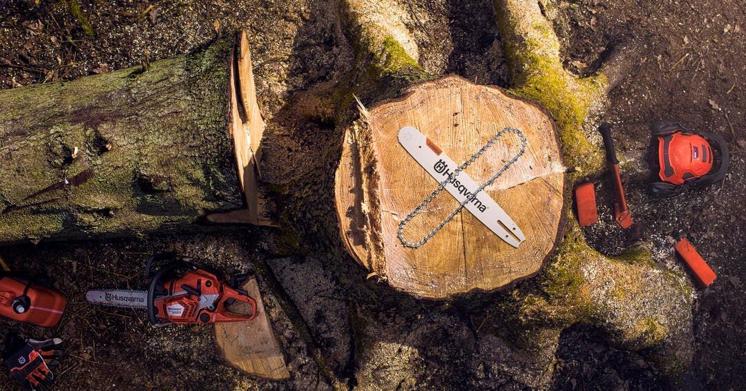 x-cut chains on wood stump